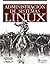 Administración de sistemas Linux (Spanish Edition)