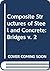 Composite Structures of Ste...
