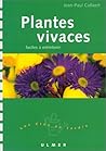 Plantes vivaces : Faciles à entretenir