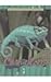Chameleons (Animals of the Rain Forest)