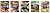 Basic Domestic Reptiles And...