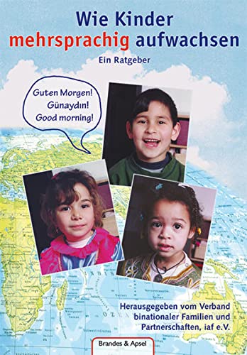 Wie Kinder mehrsprachig aufwachsen. (Paperback)