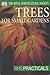 Trees for Small Gardens by Allen J. Coombes