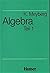 Algebra, in 2 Bdn., Bd.1 by Kurt Meyberg