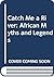 Catch me a river: African m...