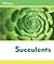 Succulents (Plants)