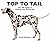 Top to Tail: The 360 Degrees Guide to Picking Your Perfect Pet