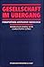 Gesellschaft Im Übergang: Perspektiven Kritischer Soziologie
