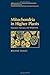 Mitochondria in Higher Plants by Roland Douce