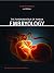 The Fundamentals of Human E...