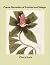 Creole Remedies of Trinidad and Tobago