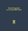 Geniza-Fragmente Zu Avot De-Rabbi Natan (German Edition)