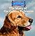 The Story of the Golden Retriever (Dogs Throughout History)