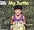 My Turtle