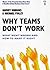 Why Teams Don't Work by Harvey Robbins