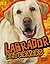 Labrador Retrievers (Edge Books: All About Dogs)