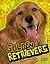 Golden Retrievers (Edge Books: All About Dogs)