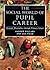 The Social World of Pupil Career: Strategic Biographies Through Primary School