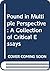 Pound in multiple perspective: A collection of critical essays