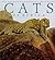 Cats of Africa