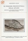 Le ferriere preindustriali delle Apuane: Siderurgia e organizzazione del territorio nella Versilia interna (Quaderni del Dipartimento di archeologia e ... Università di Siena) (Italian Edition)