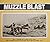 Muzzle Blast by Bill Oakes