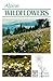 Alpine Wildflowers: GuideBook