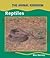 Reptiles (The Animal Kingdom) by Bev Harvey
