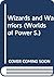Wizards and Warriors (Worlds of Power S.)