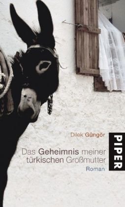 Das Geheimnis Meiner Türkischen Grossmutter: Roman (Hardcover)