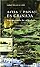 Agua y Paisaje En Granada: Una Herencia de Al-Andalus (Spanish Edition)