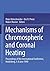 Mechanisms of Chromospheric...