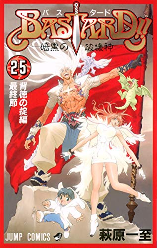 Bastard!! 25 (Paperback)