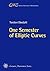 One Semester of Elliptic Curves (EMS Series of Lectures in Mathematics)