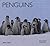 Penguins by John A. Love