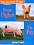 Piglet to Pig