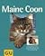 Maine Coon.
