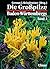 Die Großpilze Baden-Württembergs, Bd.2, Ständerpilze: Leisten-, Keulen-, Korallen- und Stoppelpilze, Bauchpilze, Röhrlings- und Täublingsartige