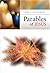 Parables of Jesus (3rd in a 4-Part)