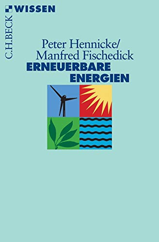 Erneuerbare Energien: Mit Energieeffizienz zur Energiewende (Paperback)