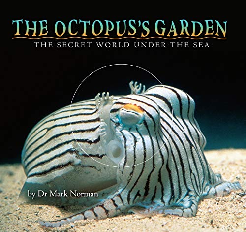 The Octopus's Garden: The Secret World Under the Sea (Hardcover)