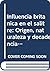 Influencia británica en el salitre: Origen, naturaleza y decadencia (Colección Ciencias sociales. Historia) (Spanish Edition)