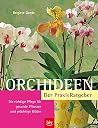 Orchideen: Der Praxis Ratgeber ; Die Richtige Pflege Für Gesunde Pflanzen Und Prächtige Blüten