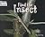Find the Insect (Welcome Bo...