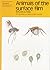 Animals of the Surface Film (Naturalists' Handbooks) (Vol)