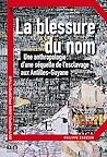 La blessure du nom: Une anthropologie d'une séquelle de l'esclavage aux Antilles-Guyane