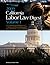 2009 California Labor Law D...