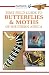 Sasol butterflies and moths...