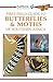 Sasol butterflies and moths of southern Africa: A first field guide (Sasol First Field Guide)