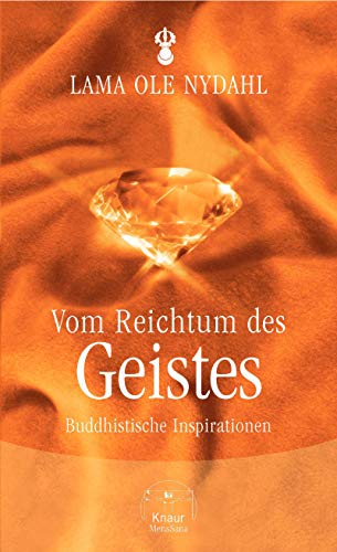 Vom Reichtum des Geistes (Hardcover)